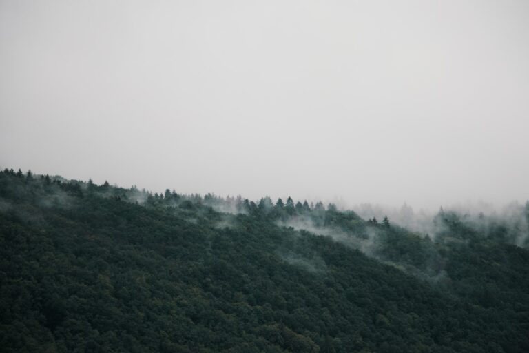 Alternative Wellness Practices from the Nordic Region